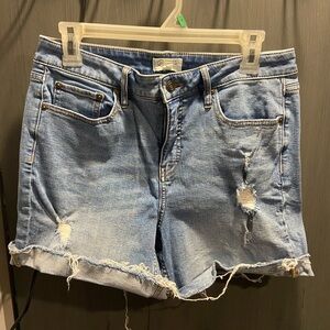 Candace Cameron Bure Light Blue Distressed Jean Shorts